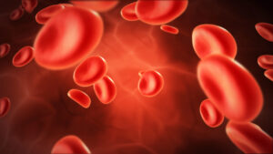 image of red blood cells floating in plasma